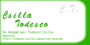 csilla todesco business card